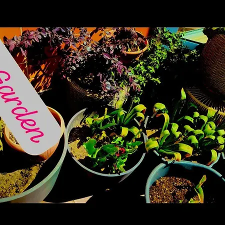 140m2 Floorcentral Loft 24hr Self Check-in