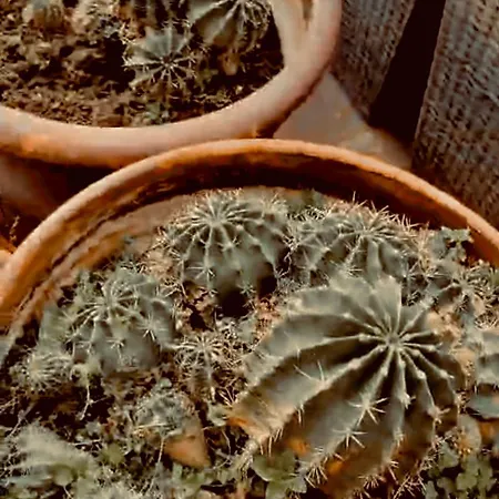 140m2 Floorcentral Loft 24hr Self Check-in Διαμέρισμα