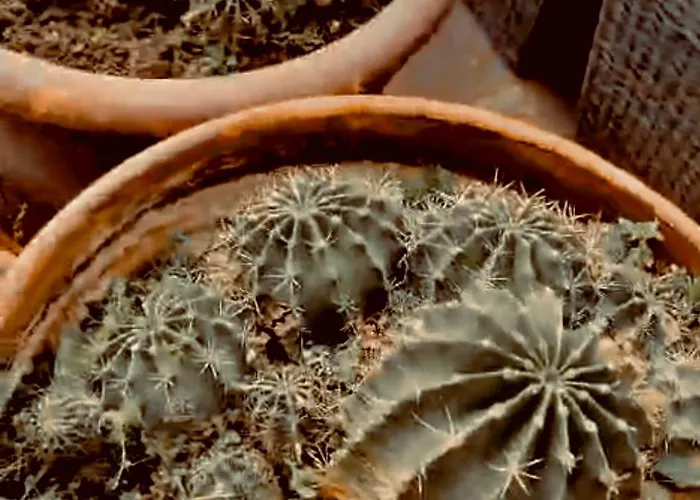 140m2 Floorcentral Loft 24hr Self Check-in 公寓